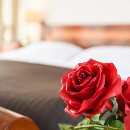 Hotel Vittoria Brescia Dış mekan fotoğraf A red rose