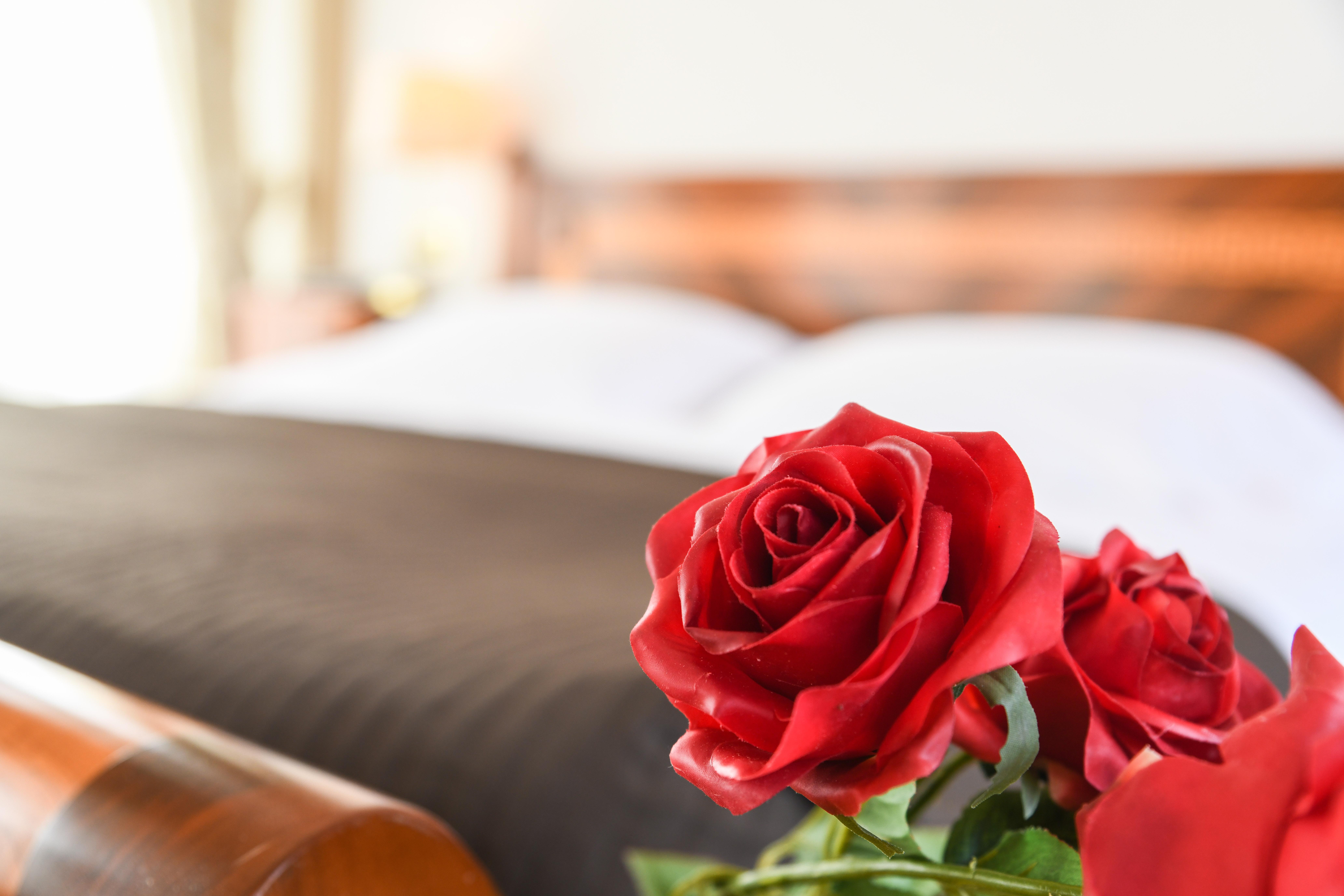 Hotel Vittoria Brescia Dış mekan fotoğraf A red rose